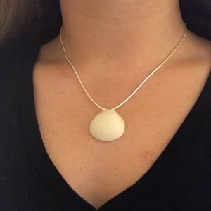 Beautiful Seashell necklace